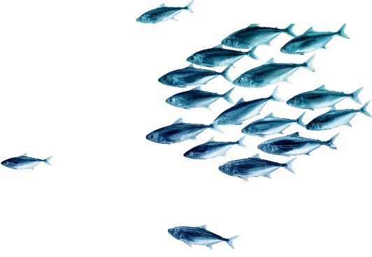 Poissons